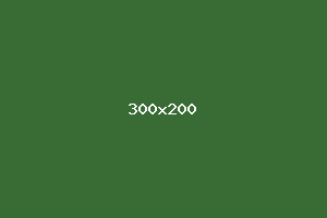 placeholder
