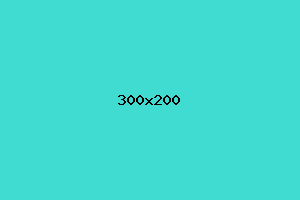 placeholder