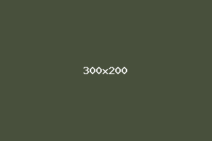 placeholder