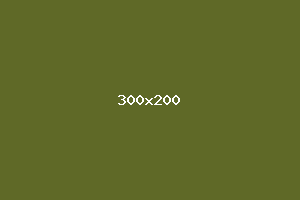 placeholder