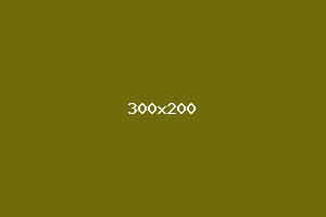 placeholder