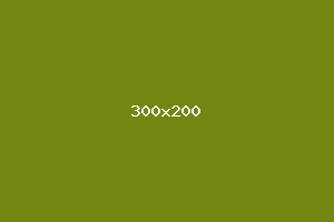 placeholder