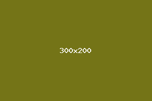 placeholder