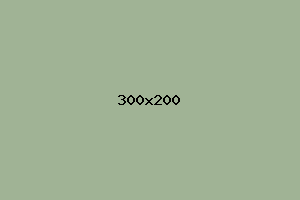 placeholder