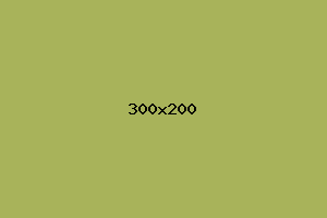 placeholder