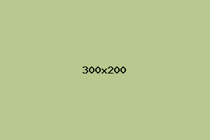 placeholder