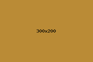 placeholder