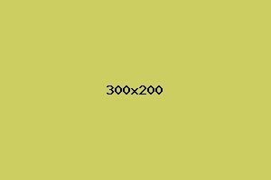 placeholder