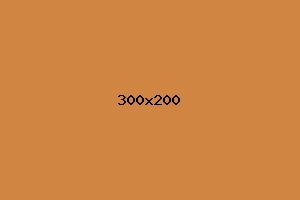 placeholder